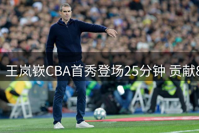王岚嵚CBA首秀登场25分钟 贡献8分4助攻