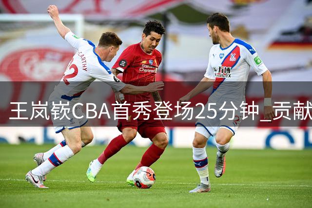 王岚嵚CBA首秀登场25分钟 贡献8分4助攻